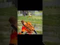 ff edit #12