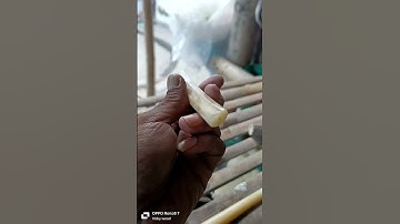 pipa rokok | once tulang sapi impor tampilan elegan rasa pulen
