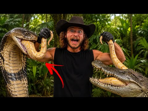 King Cobras & Crocodile EAT Pythons!