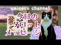 【5月18日】本当の自分にもどる日 怖がらなくて大丈夫 やってみる価値があります🌟しあわせになる力を引きだすタロットセラピー
