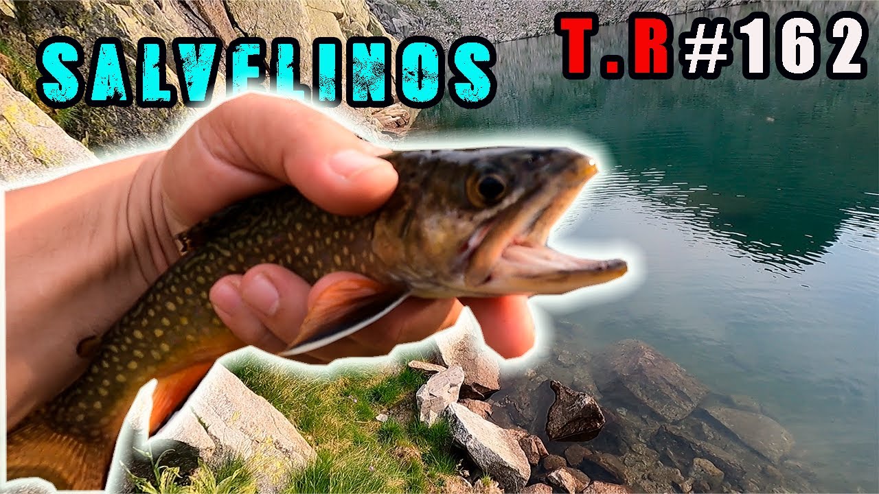 👉MI EXPERIENCIA PESCANDO SALVELINOS🎣