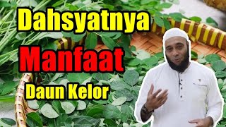 dr.Zaidul AKbar - WAJIB TAHU !! Dahsyatnya Manfaat Daun Kelor