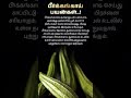 பீர்க்கங்காய் பயன்கள் | Ridge Gourd Benefits in Tamil | Natural Health Tips