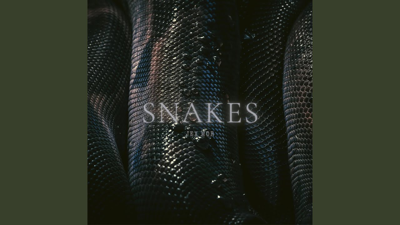 SNAKES adlı videoyu YouTube'da izle SNAKES adlı videoyu YouTube'da izle
