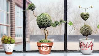 Smarty Planty - For Photoshop screenshot 1