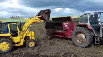 Massey fergusons 390s and 30e leading and spreading muck.