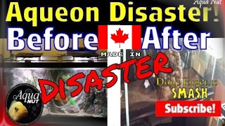 New Petsmart TopFin by Aqueon Aquarium Fish Tank Failure Disaster Pt 3