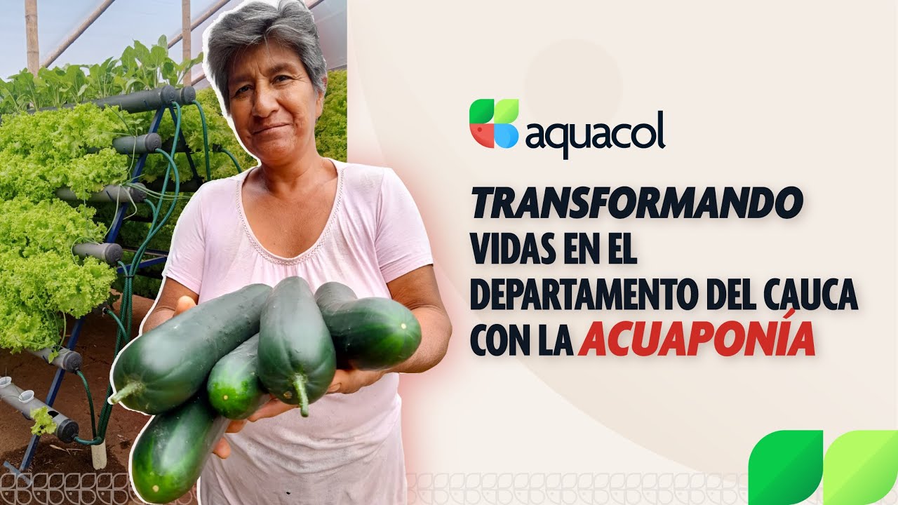Proyecto AQUACOL: Transformando Vidas en el Departamento del Cauca con la Acuaponía