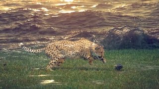 Emancipator - Minor Cause Unofficial Video
