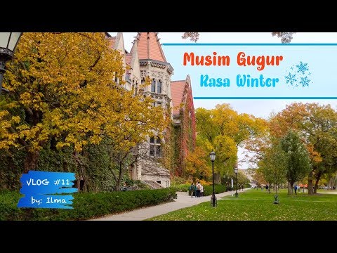 GILA!! KAMPUSNYA UNIVERSITY OF CHICAGO CANTIK BANGET! | Kuliah di Amerika