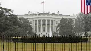 White House car crash: drunk Secret Service agents drove car into barricades
