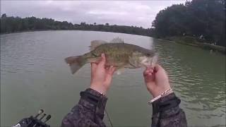 session peche en surface à la frog basirisky de chez deps