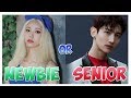 ARE YOU A NEWBIE OR SENIOR KPOP FAN? || K-POP GAME