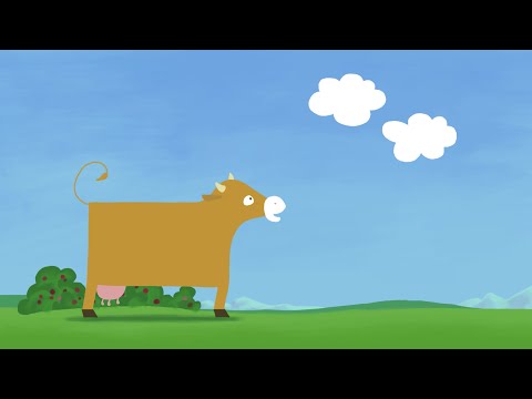 Animanimals: Cow