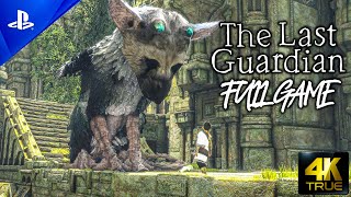 The Last Guardian｜Full Game Playthrough｜PS5 4K|60