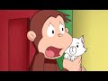 Curious george monkey fever   kids cartoon  kids movies s for kids