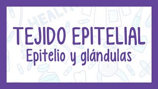 TEJIDO EPITELIAL | ¡Fácil explicación! (Histología)