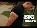 DO this for big TRICEPS!!  - Top 4 Exercises | Danijel Švec - Street Brothers