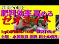 【魔法の用土？】肥料効率を高めるゼオライト【万年青の用土】世界最小の穴　水はけ　根腐れ防止　土壌水質改良　消臭　用土の再生 保水力の実験【万年青の豊明園】【Zeolite OMOTO】Rohdea