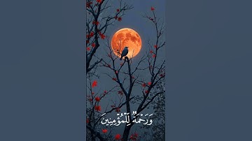 تلاوة تهز القلوب❤️صوت يريح النفس🎧 ويشرح الصدر قرآن كريم بصوت خاشع🎤أقوى تلاوة قرآن تبكي القلوب😭😥❤️