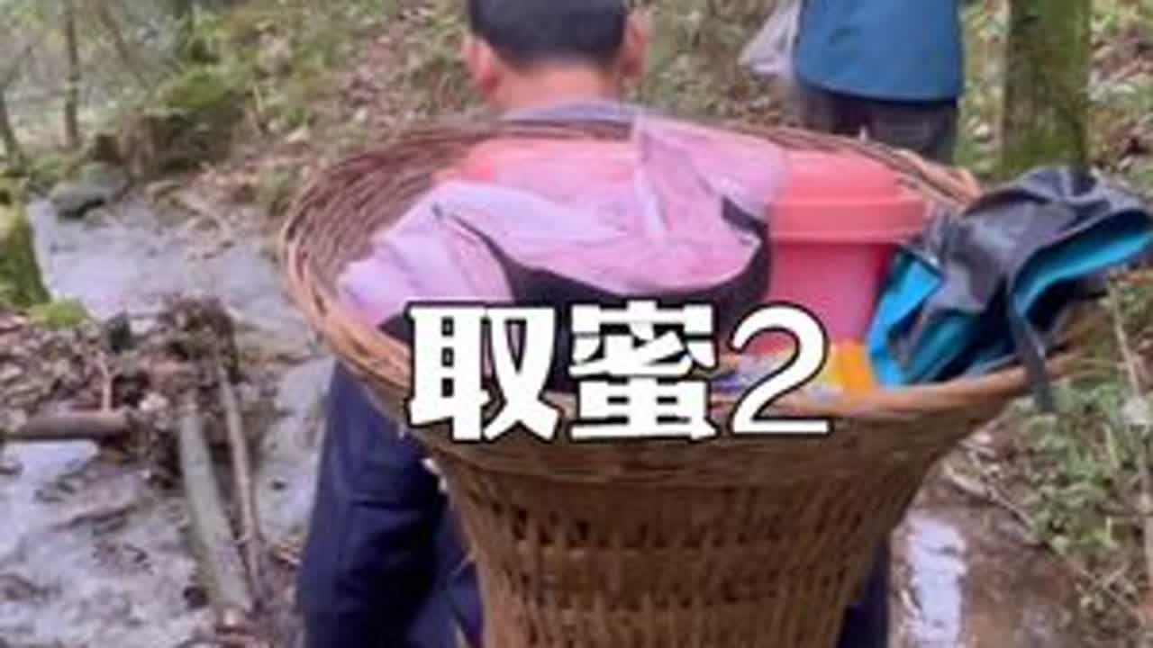 一次特别是上山经历，原来下山更难 #大山里的原生态 #乡村生活