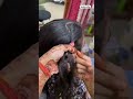 Easy hairstyle ❤️✨🦋 #shorts #youtubeshorts #shortvideo #ytshorts #trending #song #norafatehi #music