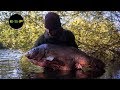 Terry Hearn - The Little Grey - Iconic Carp Fishing (Subtitles Available)