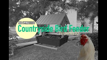 Bambu Lab printed country styled bird feeder!