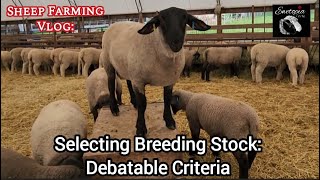 Choosing Breeding Stock: Controversial Standards #EvaluatingSheep