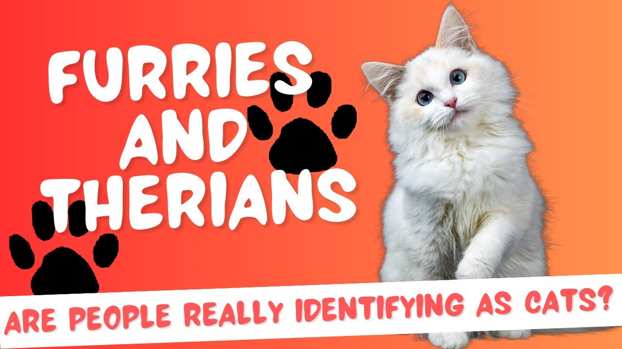 Furries and Therians - Are people really identifying as cats