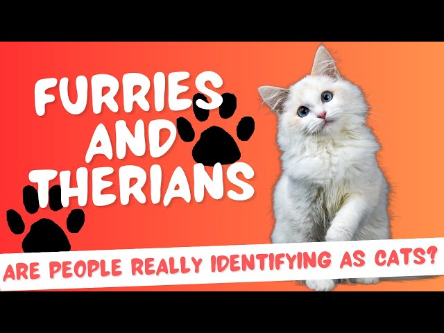 Furries and Therians - Are people really identifying as cats