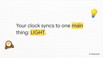 Circadian Rhythms: The Master Clock Inside Your Brain