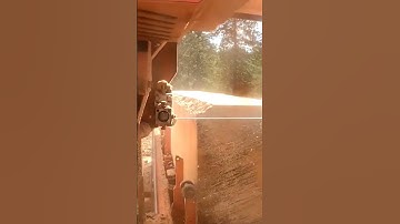 Huge Pine On The Sawmill #shorts #woodmizer #sawmill