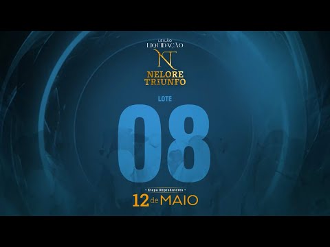 LOTE 08 - MACF 557