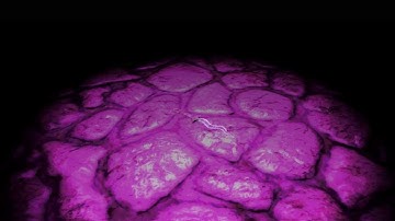 Amnesia  Custom Story - Tricky Minds [Part 1]