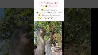 "120-Year-Old Giant Turtle" #GiantTortoise #NatureWonders #AmazingAnimals #viralvideo #viralshort