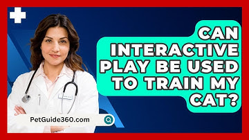 Can Interactive Play Be Used To Train My Cat? - PetGuide360.com