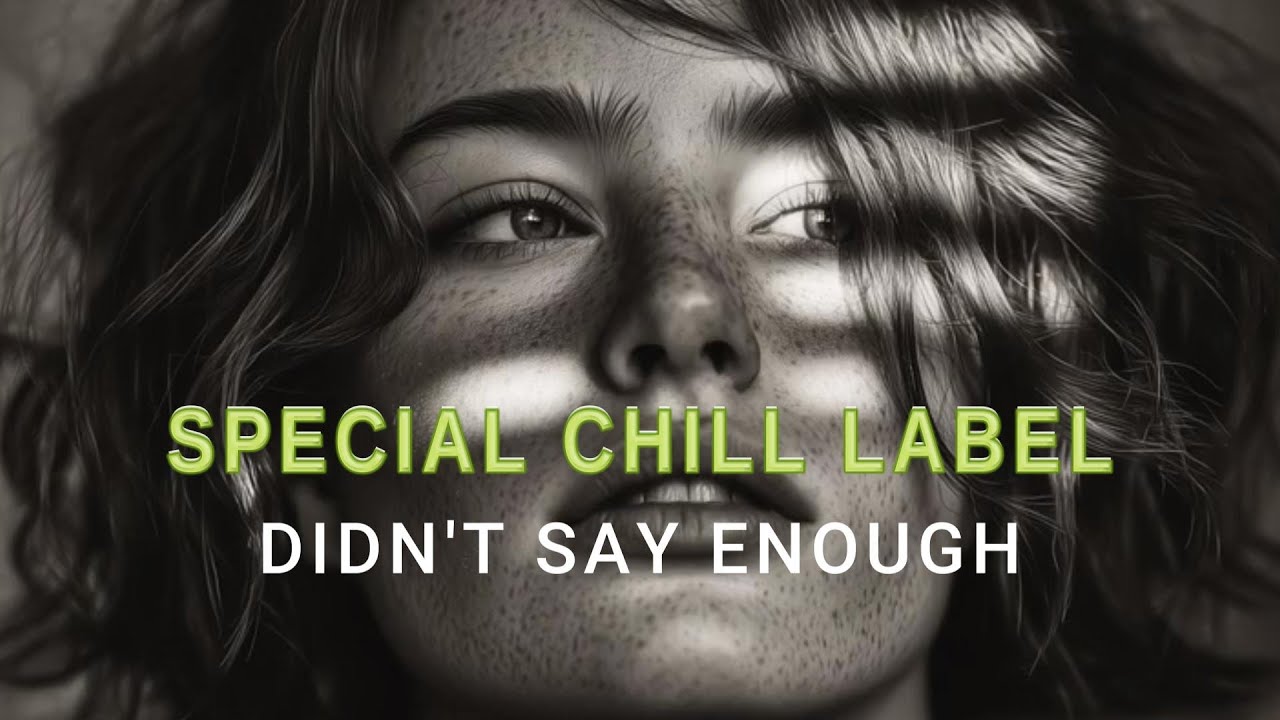 Special Chill Label - Didn't Say Enough