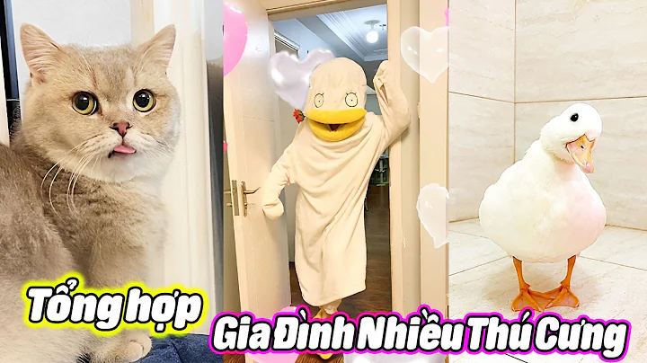 Tổng Hợp Gia Đình Nhiều Thú Cưng P2 😍😍 #thúcưng #vậtnuôi #chómèohàihước #funny