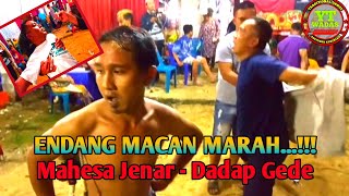 FULL MENDEM MACAN NGAMUK KUDA KEPANG || MAHESA JENAR || DADAP GEDE WADASLINTANG