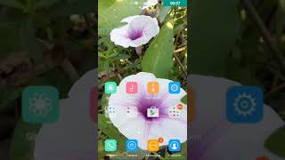 How to sign up in adobe clip or mix screenshot 2