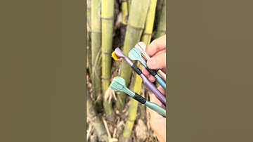 BÀN CHẢY ĐÁNH RĂNG ĐA CHIỀU 3 MẶT