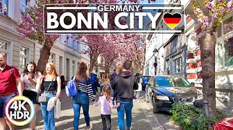 Cherry Blossoms in Bonn Beethoven City 2025, Sakura in Germany, 4K HDR Walking Tour