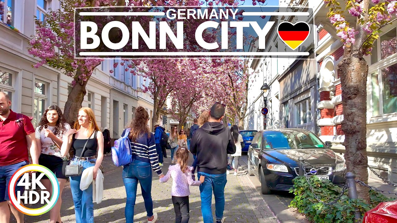 Cherry Blossoms in Bonn Beethoven City 2025, Sakura in Germany, 4K HDR Walking Tour