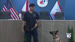 Meet Mal: FLPD's newest bomb detection K9