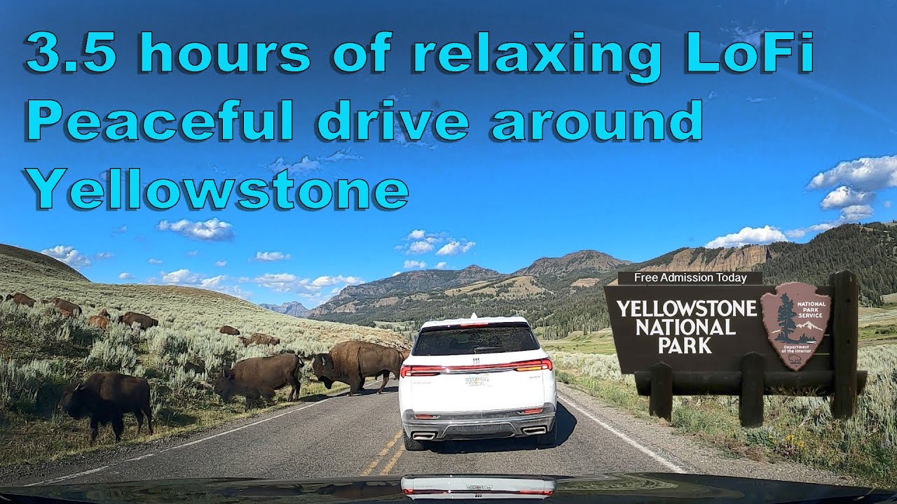 4 Hours of Relaxing Drive Yellowstone 🚗🌄 | Lo-Fi Music for Work, Study & Relaxation