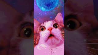 Download Lagu #shorts - Epic 5-Second Meme Video! - #111 MP3