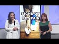 What are the signs for a pet in pain? | 2 Wants to Know