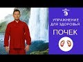 Упражнение для здоровья почек (бесплатный урок)