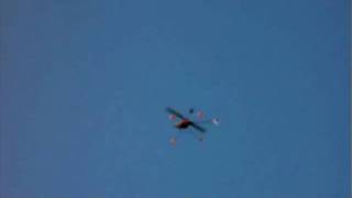 Blade cp pro 2 Test flight